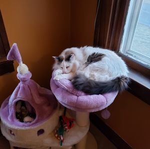 Meet your Posher, Pamela